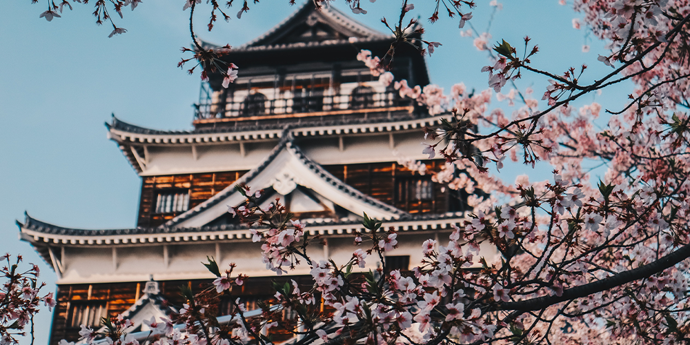 Embracing the Magic of Cherry Blossom Season in Japan