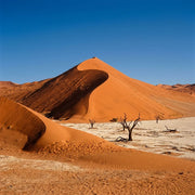 Travel eSIM for Namibia