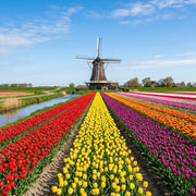eSIM da Holanda