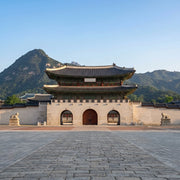 eSIM da Coreia do Sul